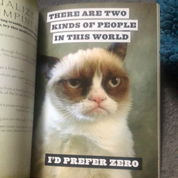 Grumpy cat book: a grumpy book mbr - Picture 8 of 8